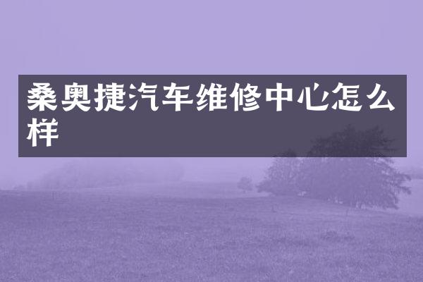 桑奥捷汽车维修中心怎么样
