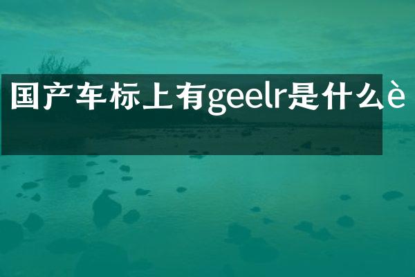 国产车标上有geelr是什么车