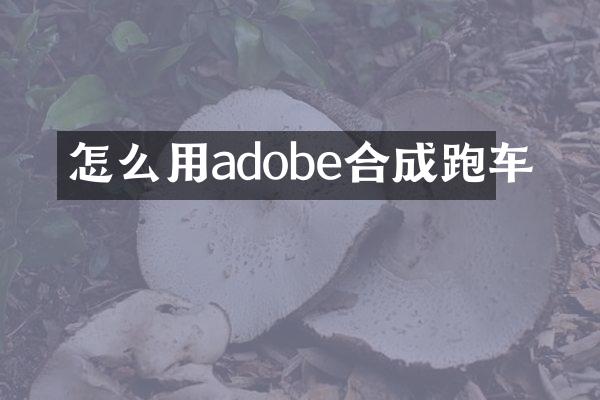 怎么用adobe合成跑车