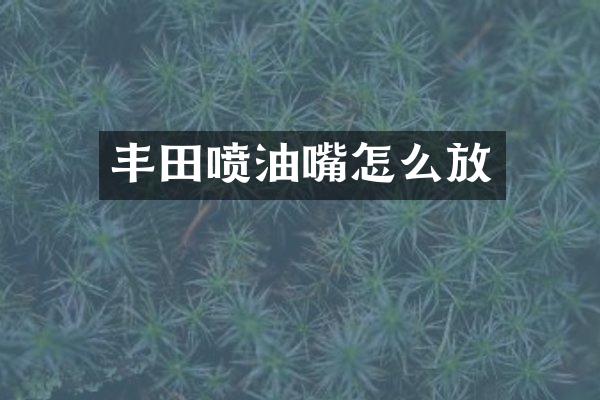 丰田喷油嘴怎么放