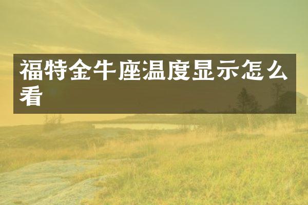 福特金牛座温度显示怎么看