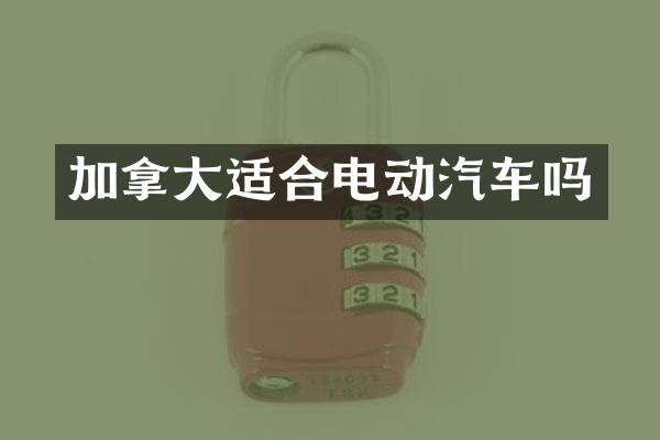 加拿大适合电动汽车吗