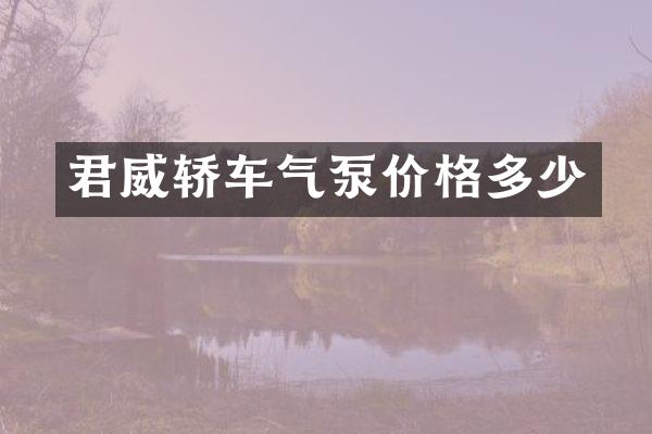 君威轿车气泵价格多少