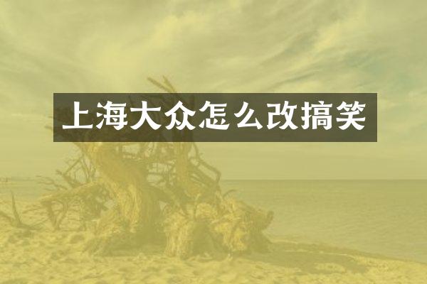 上海大众怎么改搞笑