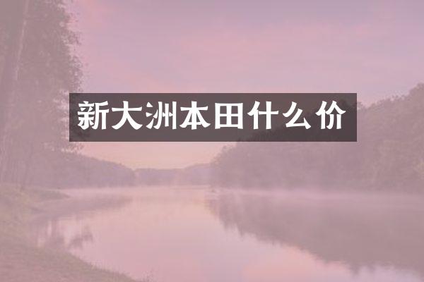 新大洲本田什么价
