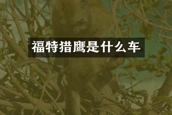福特猎鹰是什么车