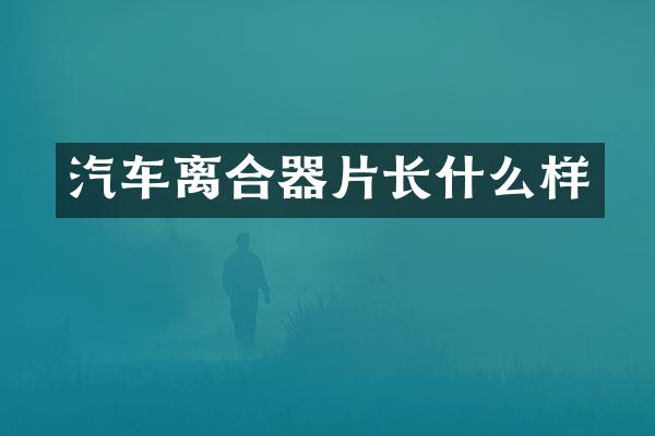 汽车离合器片长什么样