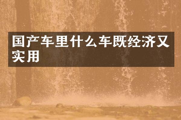 国产车里什么车既经济又实用