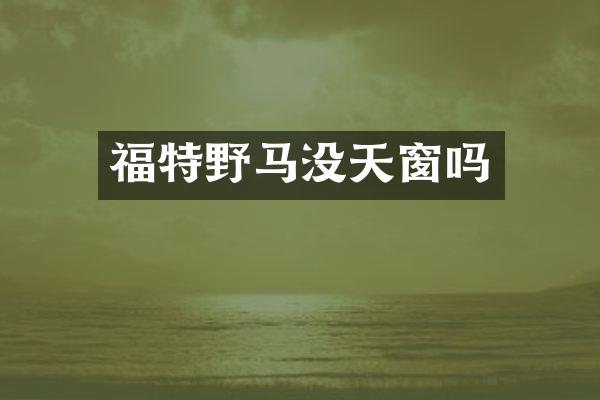 福特野马没天窗吗