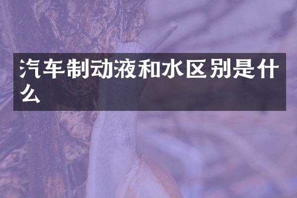 汽车制动液和水区别是什么