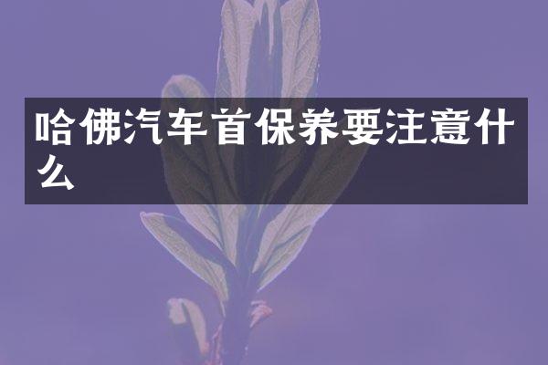 哈佛汽车首保养要注意什么
