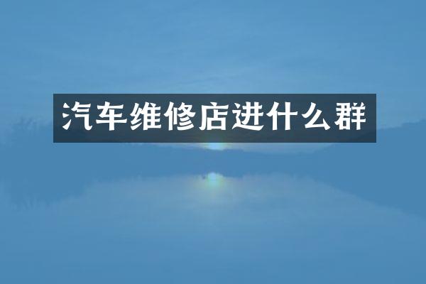 汽车维修店进什么群