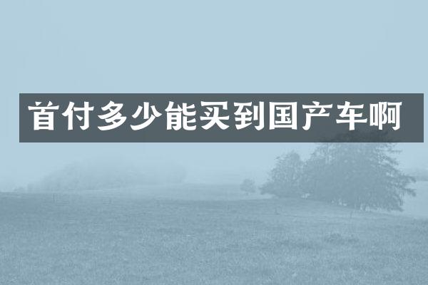 首付多少能买到国产车啊