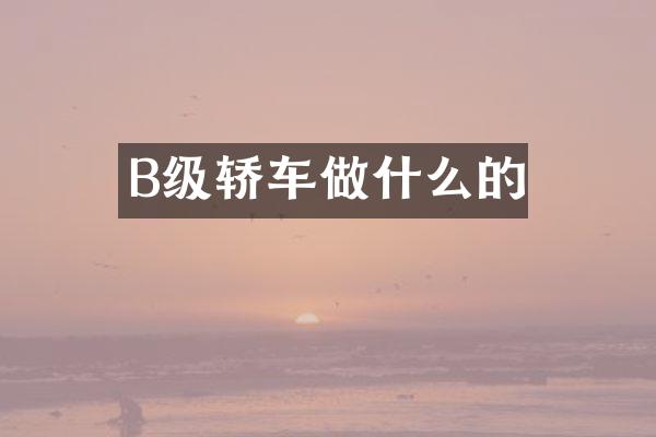 B级轿车做什么的