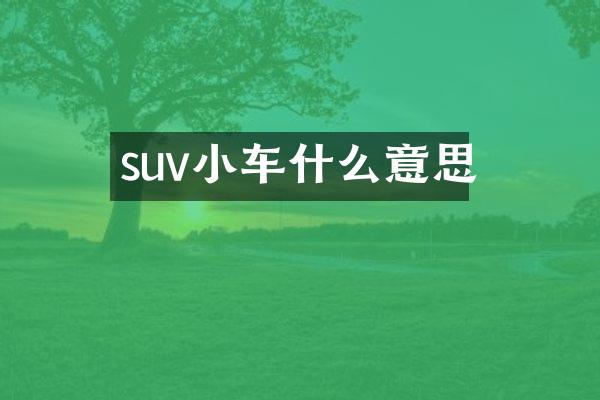 suv小车什么意思
