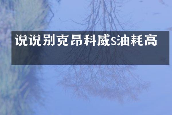 说说别克昂科威s油耗高吗