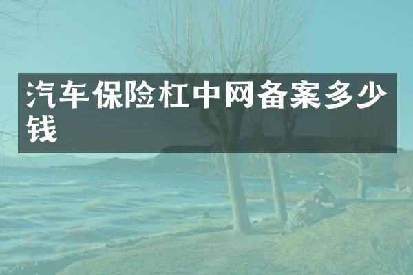 汽车保险杠中网备案多少钱