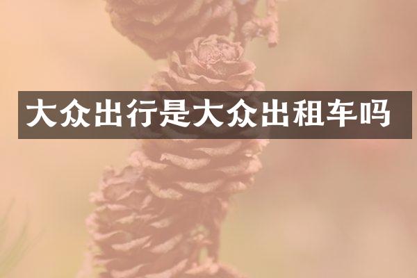 大众出行是大众出租车吗