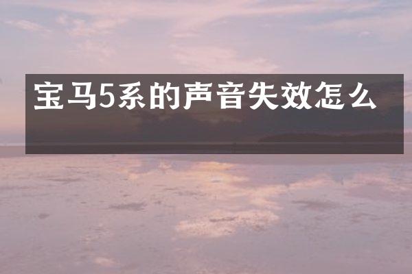 宝马5系的声音失效怎么办