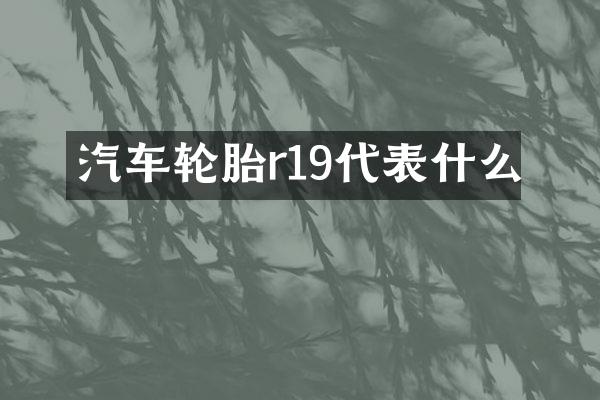 汽车轮胎r19代表什么