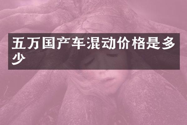五万国产车混动价格是多少