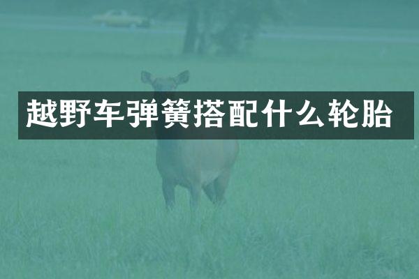越野车弹簧搭轮胎