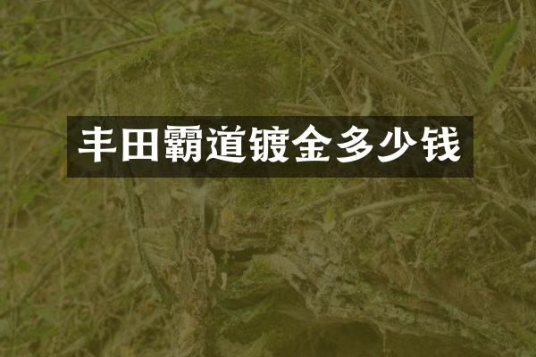 丰田霸道镀金多少钱