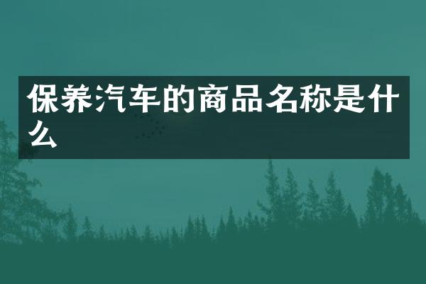 保养汽车的商品名称是什么