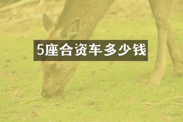 5座合资车多少钱