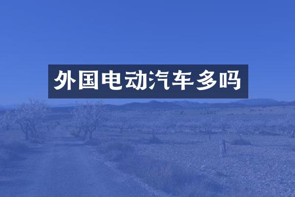 外国电动汽车多吗