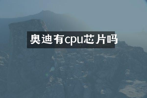 奥迪有cpu芯片吗