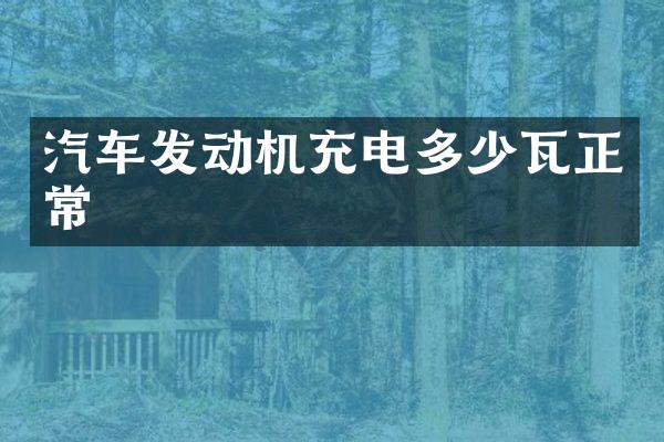 汽车发动机充电多少瓦正常