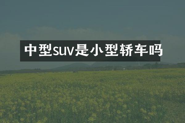 中型suv是小型轿车吗