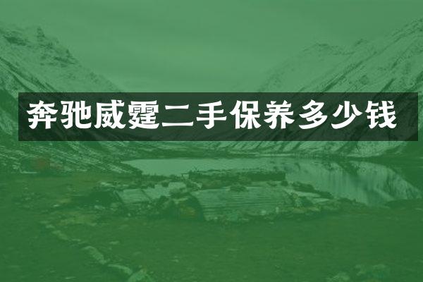 奔驰威霆二手保养多少钱