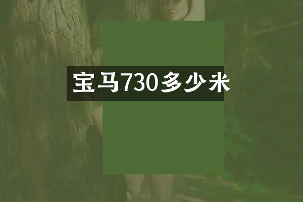 宝马730多少米