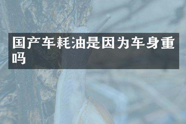 国产车耗油是因为车身重吗