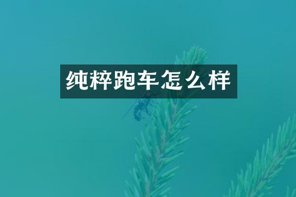 纯粹跑车怎么样