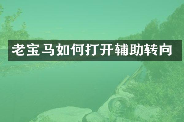 老宝马如何打开辅助转向