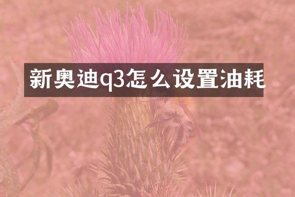 新奥迪q3怎么设置油耗