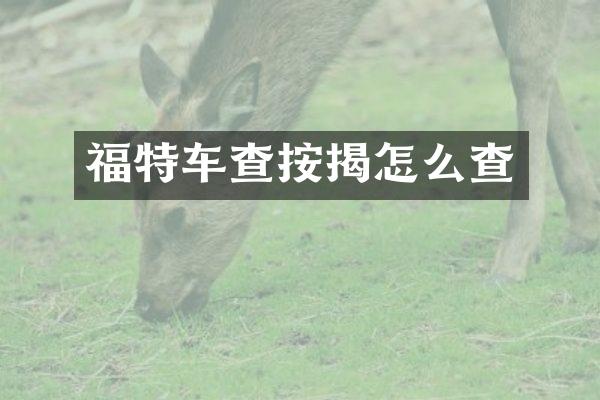 福特车查按揭怎么查