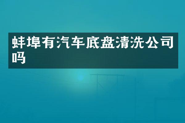 蚌埠有汽车底盘清洗公司吗