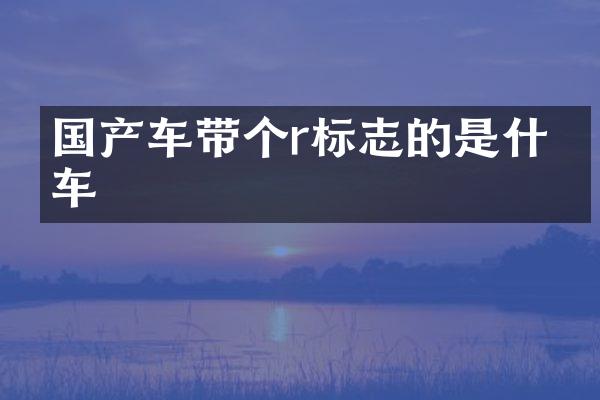 国产车带个r标志的是什么车
