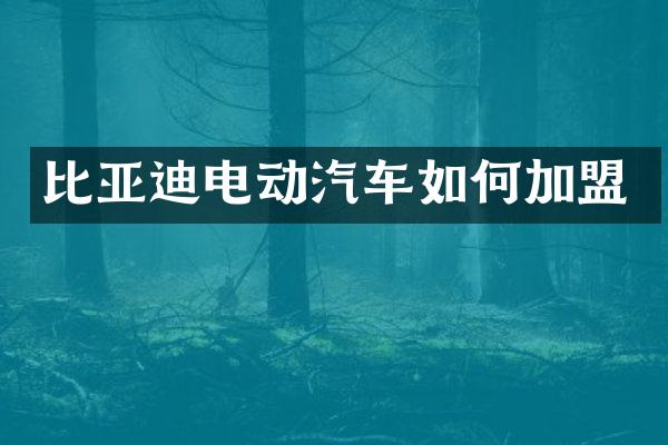 比亚迪电动汽车如何加盟