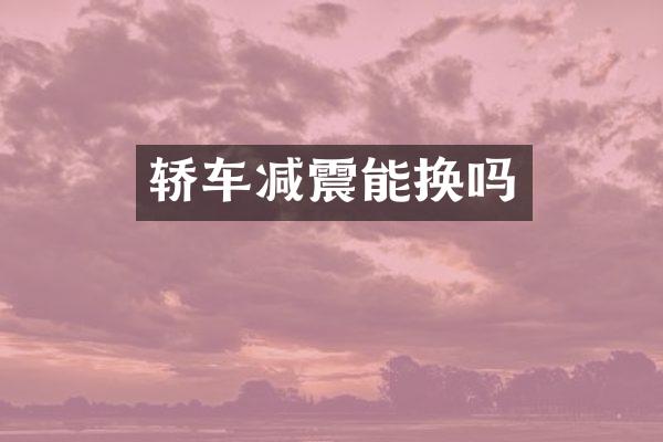 轿车减震能换吗