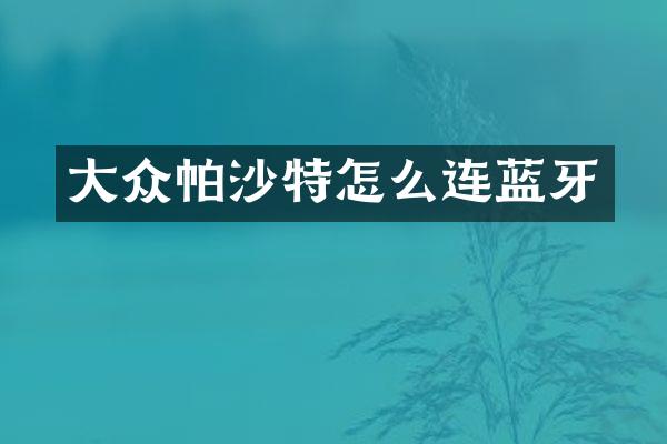 大众帕沙特怎么连蓝牙