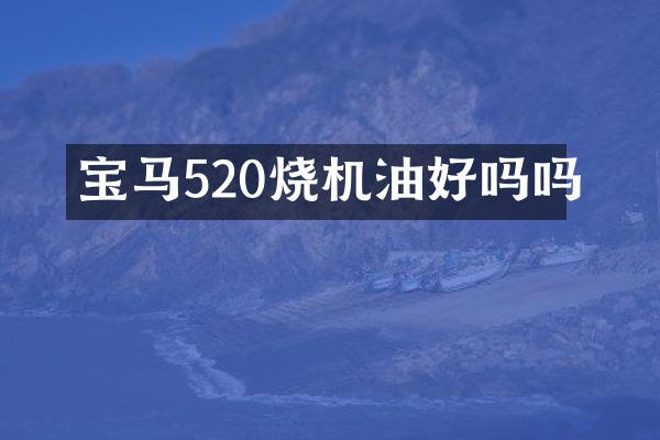 宝马520烧机油好吗吗