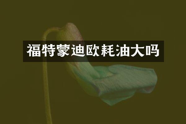 福特蒙迪欧耗油大吗