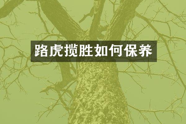 路虎揽胜如何保养