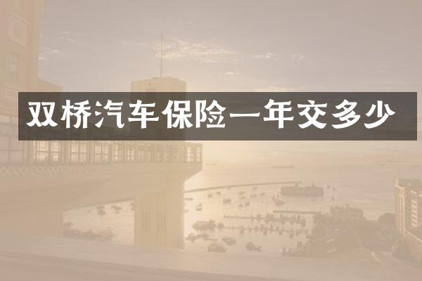 双桥汽车保险一年交多少