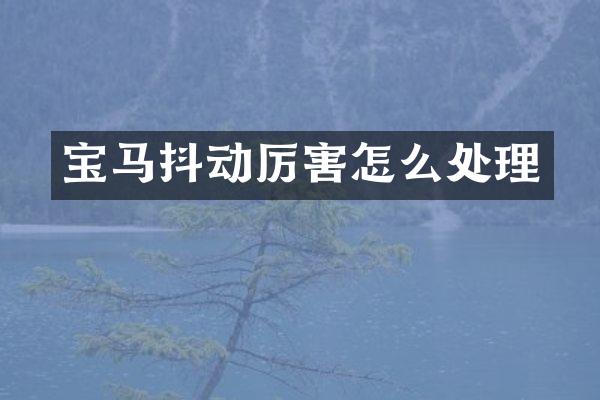 宝马抖动厉害怎么处理